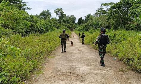 Potret Perjuangan Prajurit Tni Jaga Perbatasan Di Papua