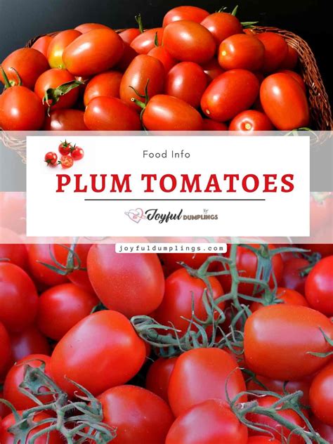 What Are Plum Tomatoes? Types, Health Benefits, and Substitutes ...