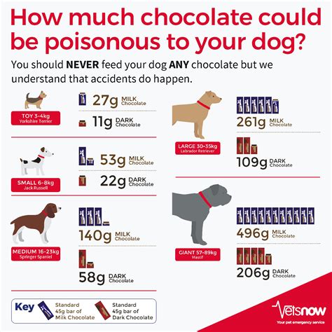 Dog Chocolate Ingestion Chart - Stom