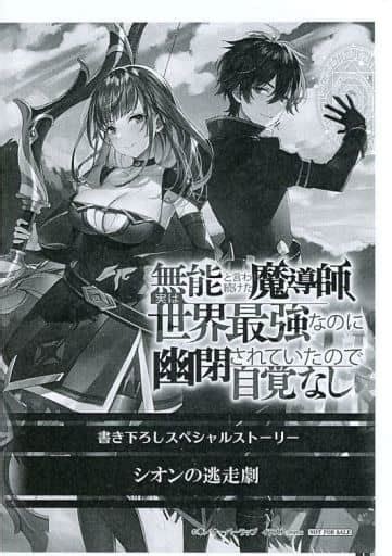 駿河屋 無能と言われ続けた魔導師、実は世界最強なのに幽閉されていたので自覚なし4 書泉購入特典書き下ろしssペーパー 奉（漫画・アニメ）