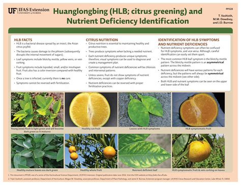 Pdf Hlb Citrus Greening And Nutrient Deficiency Identification Dokumen Tips