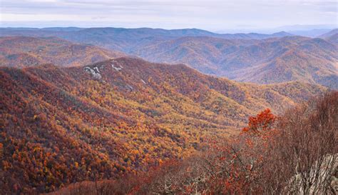 Virginia Fall Foliage: The Top Places to Visit - Minneopa Orchards