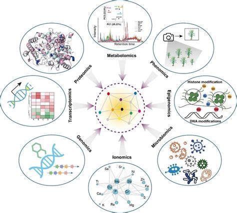 Mol Plant 罗杰教授团队综述代谢组学在研究植物代谢多样性方面研究进展 海南大学南繁学院（三亚南繁研究院）