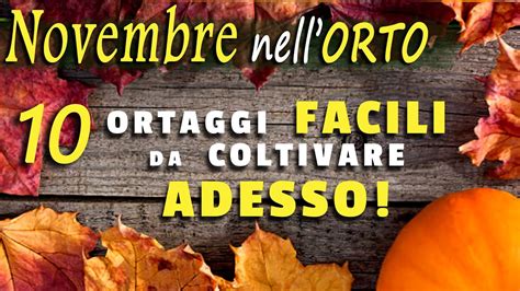 NOVEMBRE Nell Orto SEMINE TRAPIANTI 10 Ortaggi Da Coltivare YouTube