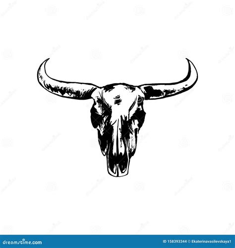 Hand Drawn Bison Skull Buffalo Cranium Vector Grunge Style