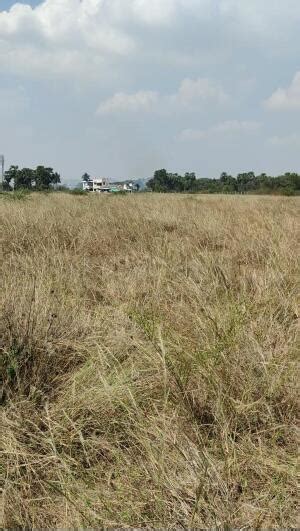 Residential Land Plot For Sale In Sevoor Vellore 200 Sq Yard