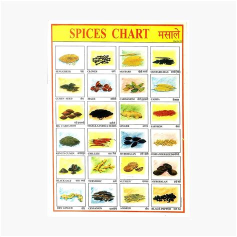 Chart Indian Spices List With Names Ubicaciondepersonas Cdmx Gob Mx