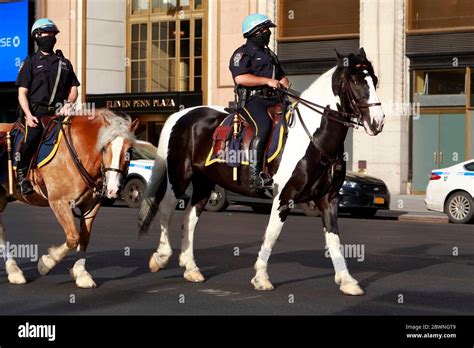 NYPD mounted police on police horses in New York City Stock Photo - Alamy