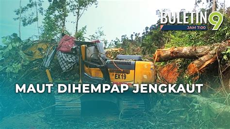 Pemandu Jengkaut Maut Dihempap Kayu Balak Youtube