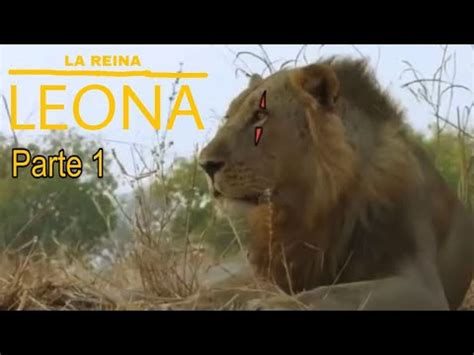 La Reina Leona Parte 1 YouTube