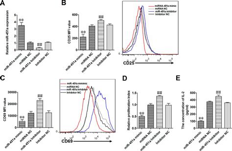 Down Regulation Of MicroRNA 451a Facilitates The Activation And