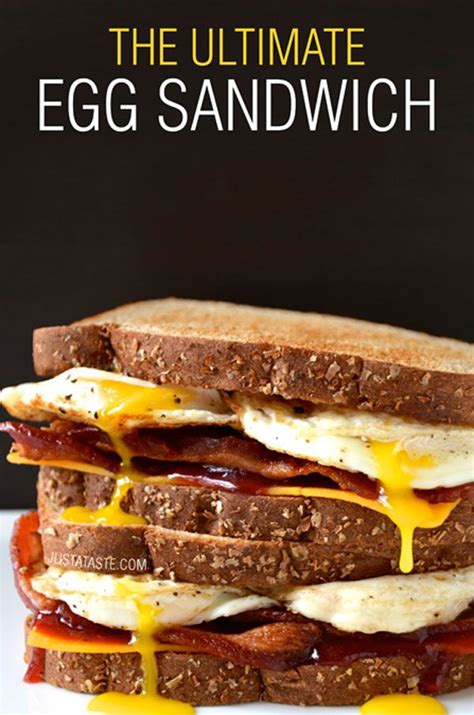 9 Amazing New Ways to Make an Egg Sandwich — Eatwell101