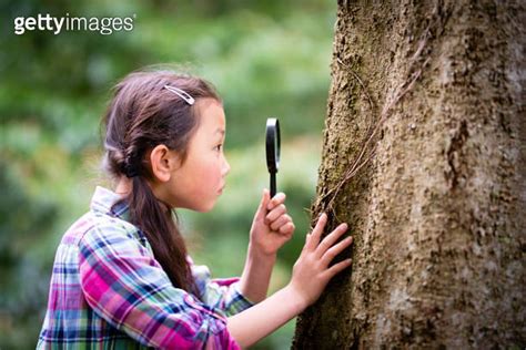 Girl Observing With A Magnifying Glass 이미지 1221601668 게티이미지뱅크