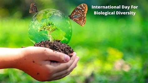 International Biodiversity Day 2024 Theme Activities Helena Aloysia