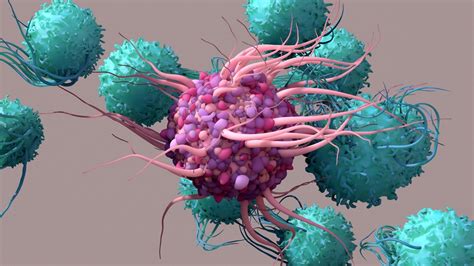 What are Dendritic Cells?