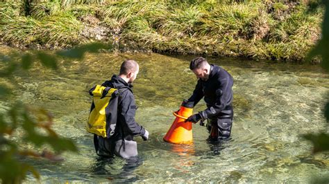 Mord In Aschau Im Chiemgau Polizei Ist Pr Sent Suche Nach Handy Geht