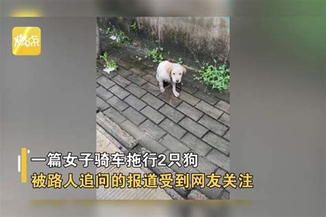 不爱请别伤害！女子骑车拖行2条狗，被路人追问后将狗丢弃路边