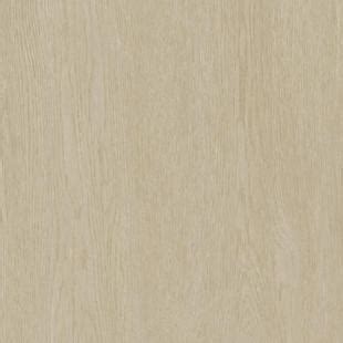 Acczent Excellence Genius Oak Tree Beige Vinyl Gulv