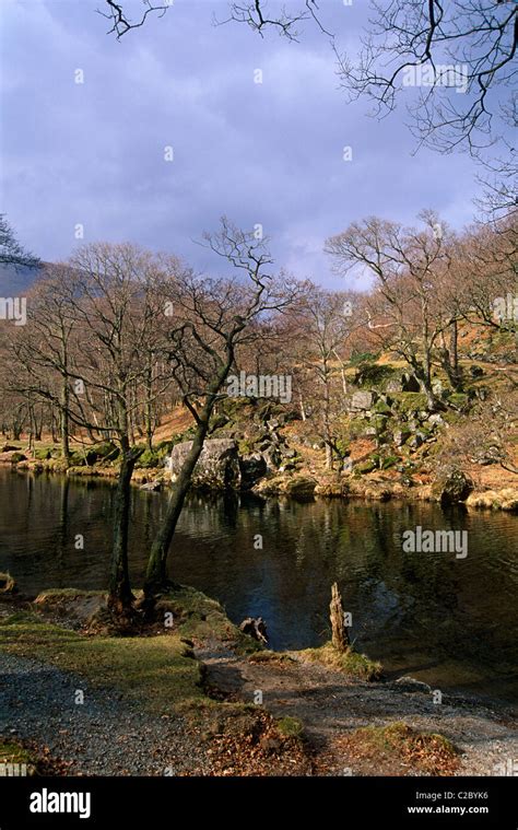 Borrowdale Cumbria England Stock Photo - Alamy