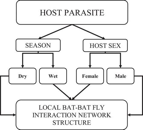 Seasonal Variation And Host Sex Affect Batbat Fly Interaction Networks