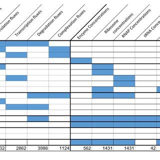 3 shows a summary of the stoichiometric matrix and constraints (not... | Download Scientific Diagram