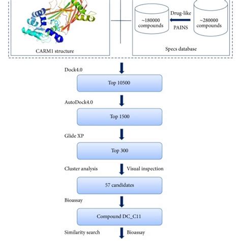 Flowchart Of Virtual Screening Procedures For CARM1 Inhibitors