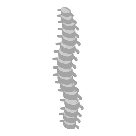 Premium Vector Human Spine Icon Isometric Of Human Spine Vector Icon