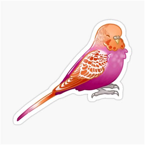 Lesbian Pride Budgie Sticker For Sale By AdoraBirdArt Redbubble