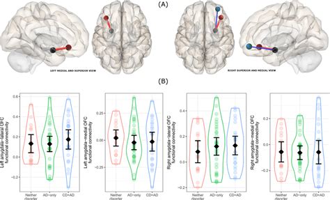 Functional Connectivity Results A Positive Red And Negative Blue Download Scientific