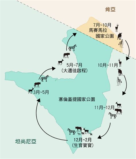 非洲動物大遷徙季節是什麼時候？5個動物大遷徙常見問題整理！