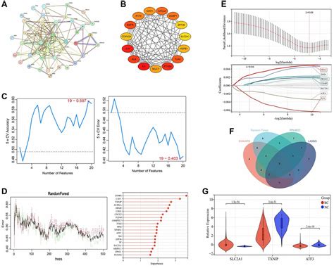 Identification Of Key Ferroptosis Genes And Mechanisms Associated With