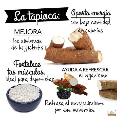 Propiedades Y Beneficios De La Tapioca Beneficios De Alimentos