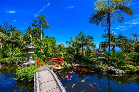 Monte Palace Jardín tropical con cascadas lagos y edificios