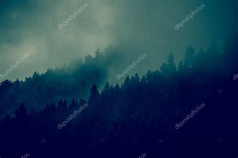 Foggy Forest Background Stock Photo by ©welcomia 50503795