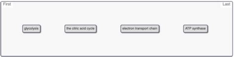 Chapter 22 Flashcards Quizlet