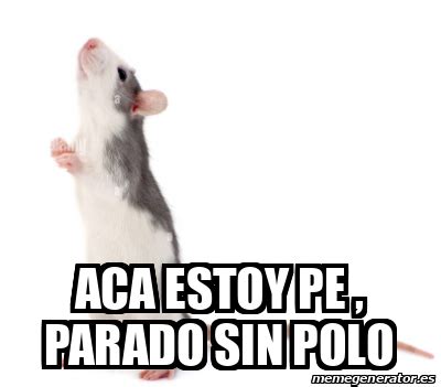 Meme Personalizado ACA ESTOY PE Parado Sin Polo 33360702