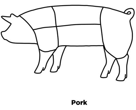 Pork Primal Cuts Diagram | Quizlet