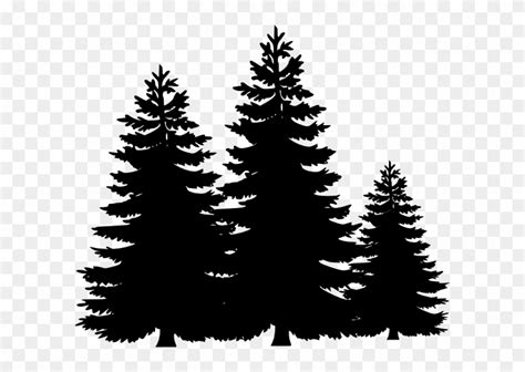 Evergreen Tree Clip Art Black And White Image To U