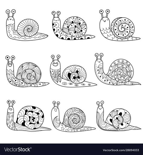 Black And White Snails Collection Isolated Vector Image