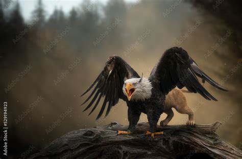 Half Lion Half Eagle