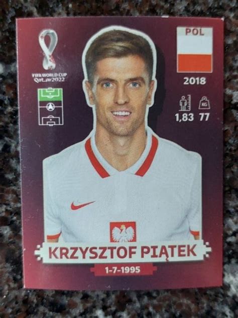 Panini Wm Pol Kaufen Auf Ricardo