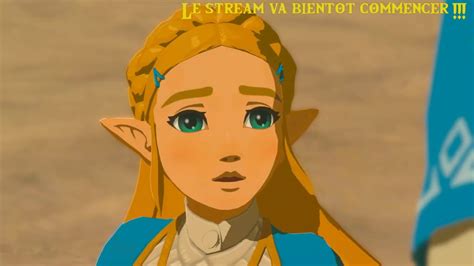 Fr The Legend Of Zelda Breath Of The Wild Mode Expert Live Du 230819 Youtube