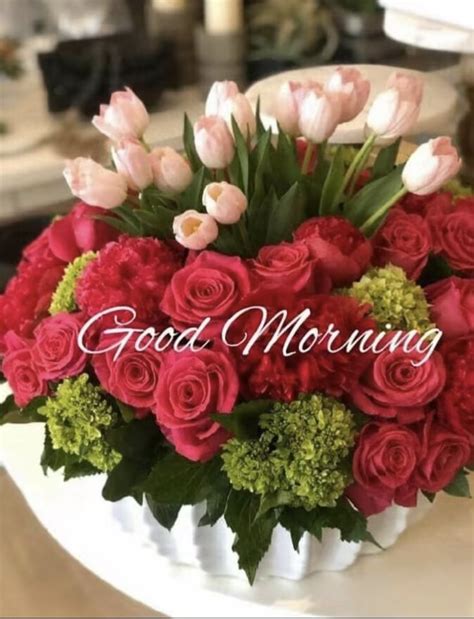 Shabira Shahtaj Good Morning