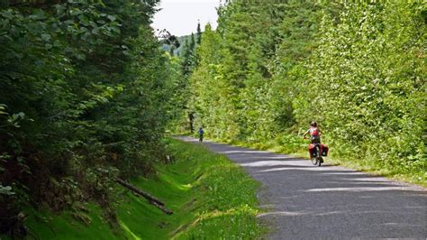 Celebrate the Forest and the Trees | Great Canadian Trails Blog