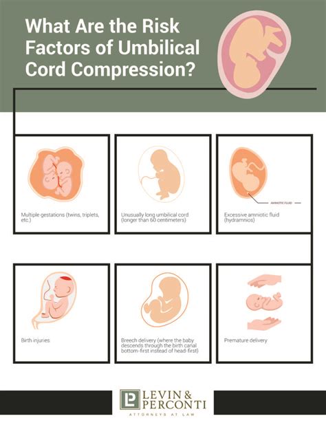 Umbilical Cord Compression