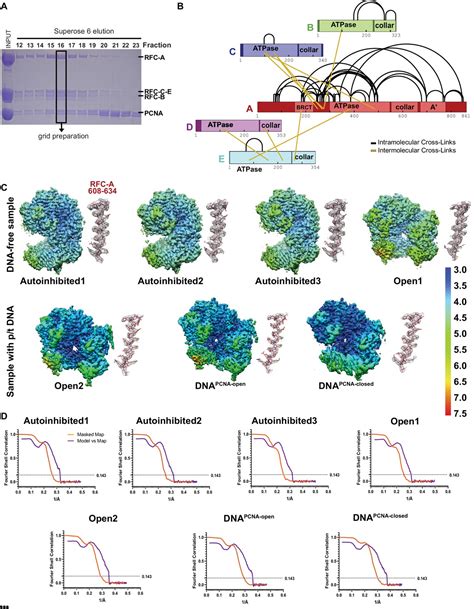 Figures And Data In Cryo Em Structures Reveal High Resolution Mechanism