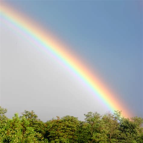 How are rainbows formed? - Met Office