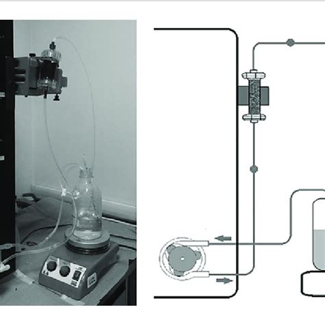 In Vitro Experimental Setup A Customized Extracorporeal Circuit With