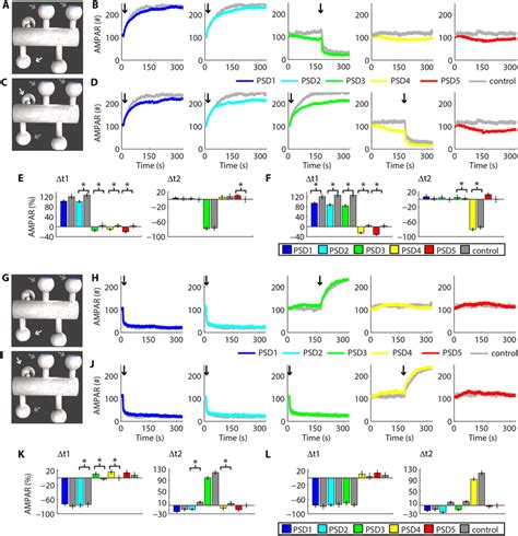 Heterosynaptic Plasticity And The Posterior Induction Of Download Scientific Diagram