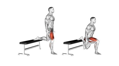 Leg Workouts 7 Best Leg Excercises For Building Mass Leg Workout